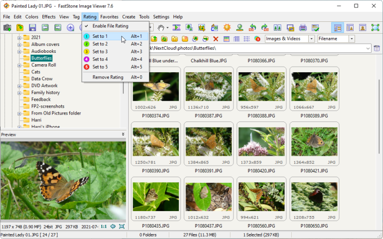 FastStone Image Viewer 7.8 instal the last version for apple