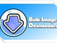 Bulk Image Downloader 6.17.0 Crack con download completo del codice di registrazione [2023]